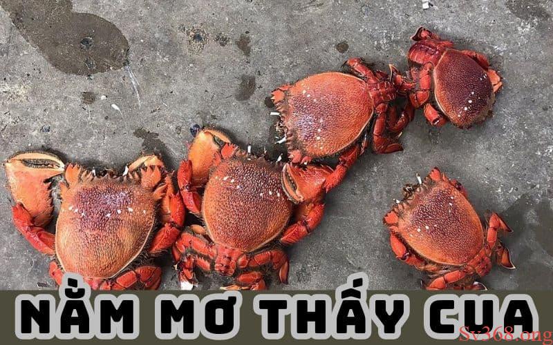 Mơ Thấy Cua - Giải Mã Những Giấc Mơ Thấy Cua Thường Gặp 6 Tìm hiểu mơ thấy cua