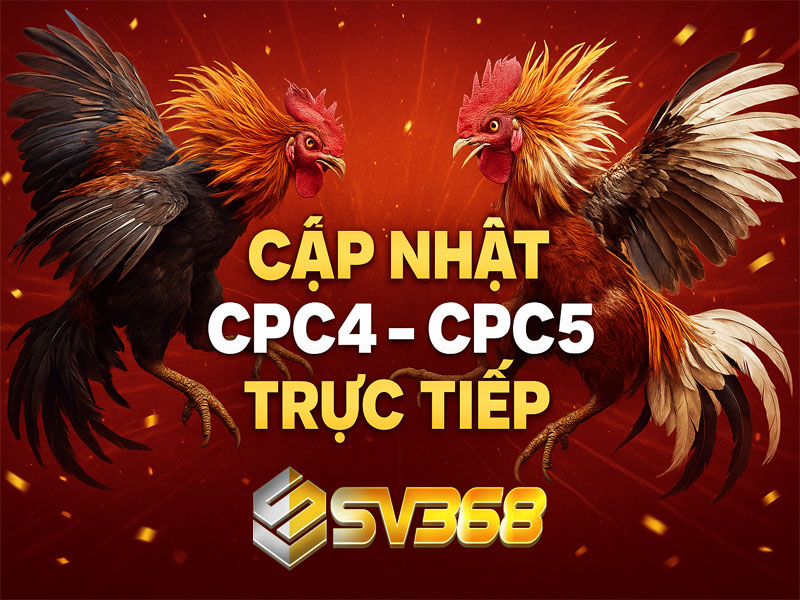 Cập Nhật Tín Hiệu Sảnh Đá Gà Ngày 05/10/2025 – Ưu Tiên CPC4 & CPC5 8 Cập Nhật Tín Hiệu Sảnh Đá Gà Ngày 05/10/2025 – Ưu Tiên CPC4 & CPC5